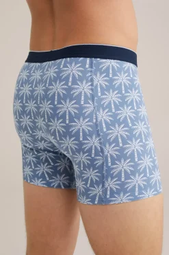 boxer met dessin
