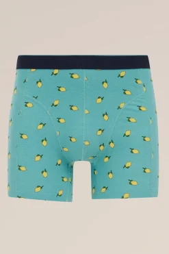 boxer met dessin