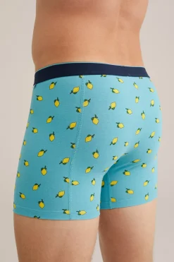 boxer met dessin