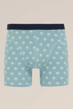 boxer met dessin