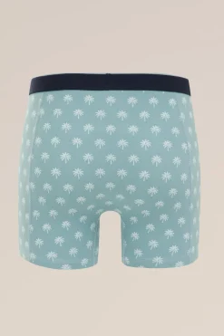 boxer met dessin
