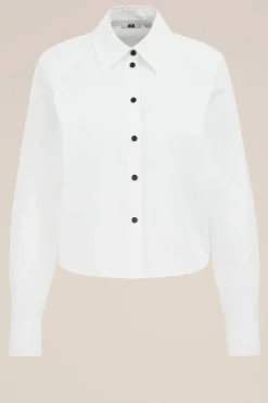 cropped blouse