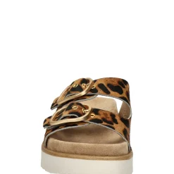 dames slipper