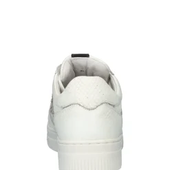 dames sneaker