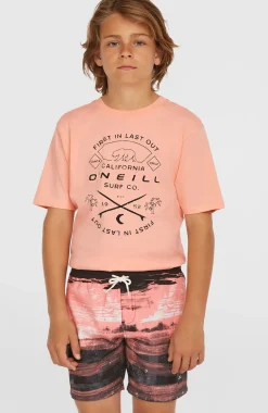Jongens Cali Gradient 14'' zwembroek
