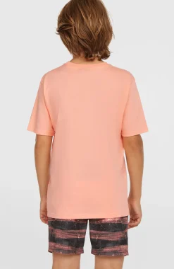 Jongens Cali Gradient 14'' zwembroek