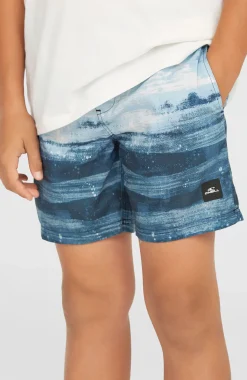 Jongens Cali Gradient 14'' zwembroek