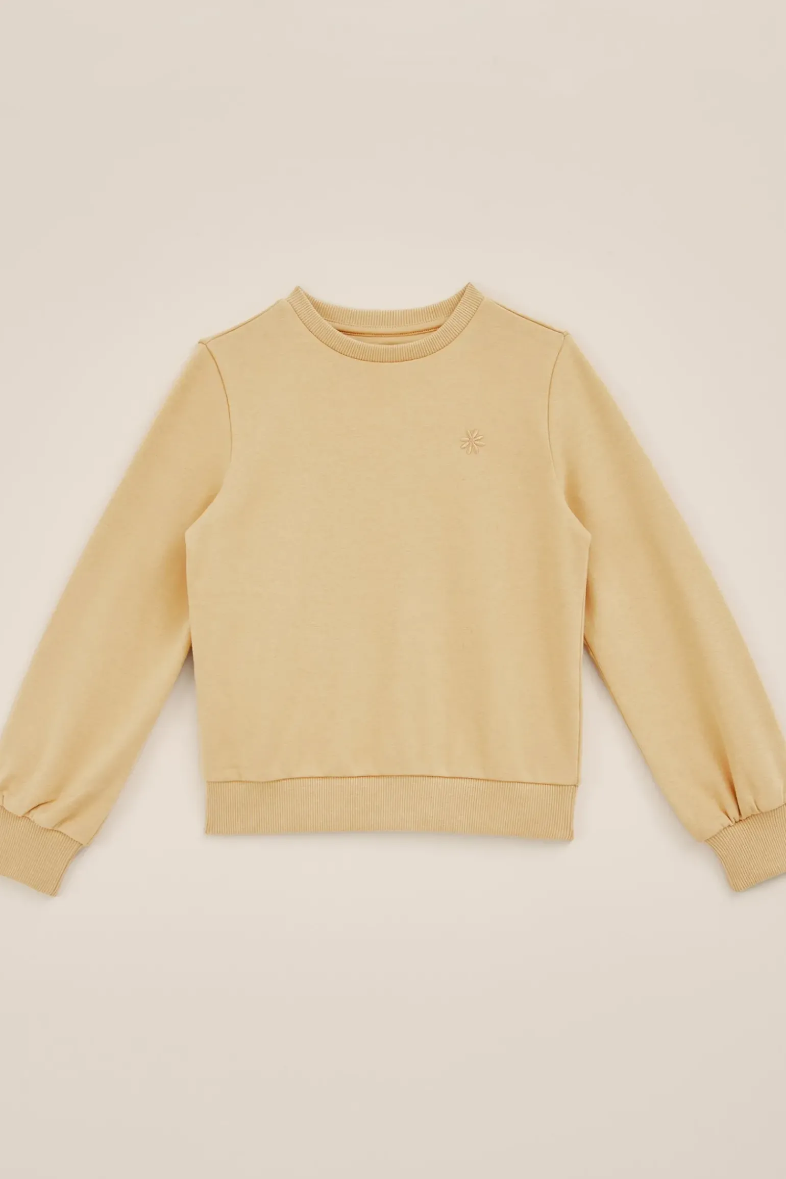 Meisjes sweater met embroidery