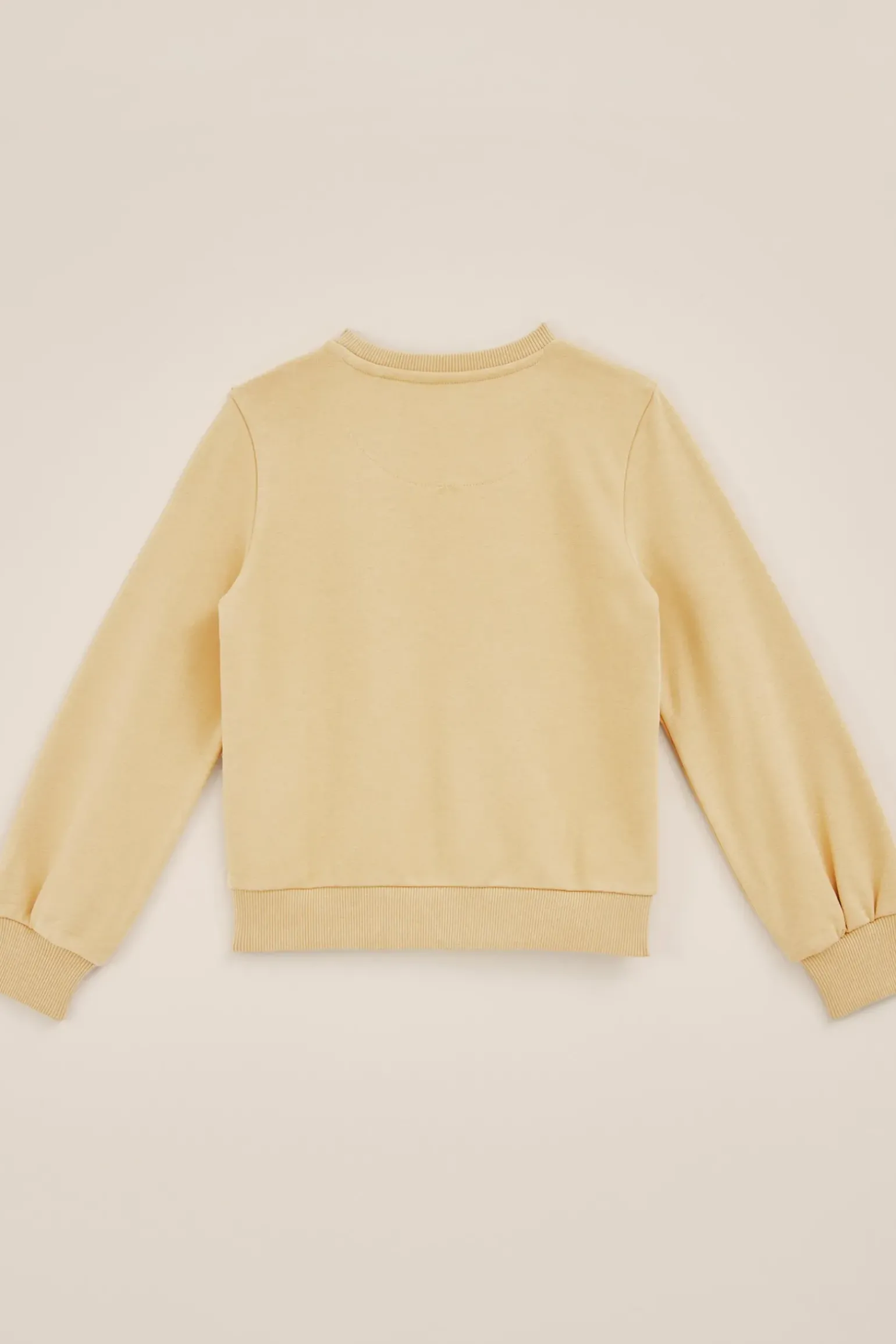 Meisjes sweater met embroidery