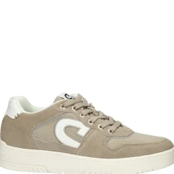 Royal C Canvas heren sneaker