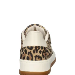 Steve Madden Alysha dames sneaker