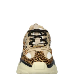 Steve Madden Spectator-L dames sneaker
