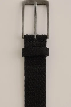 su&egrave;de riem