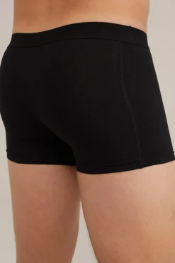 trunk, 4 pack