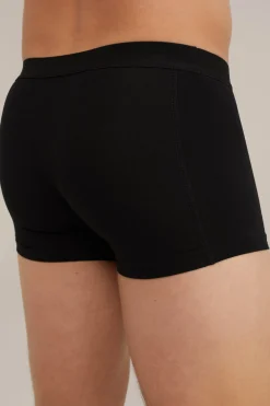 Trunk, 2-pack