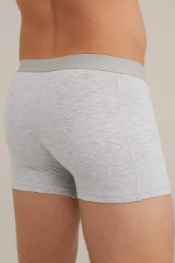 Trunk, 2-pack