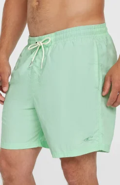 Vert 16'' zwembroek